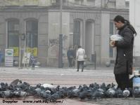 Imagine atasata: Reabilitare centru - 2016.01.26 - 20.jpg